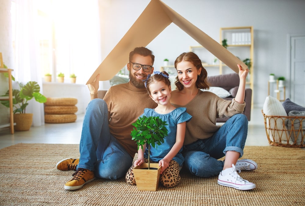 How To Safely Move House With Your Plants