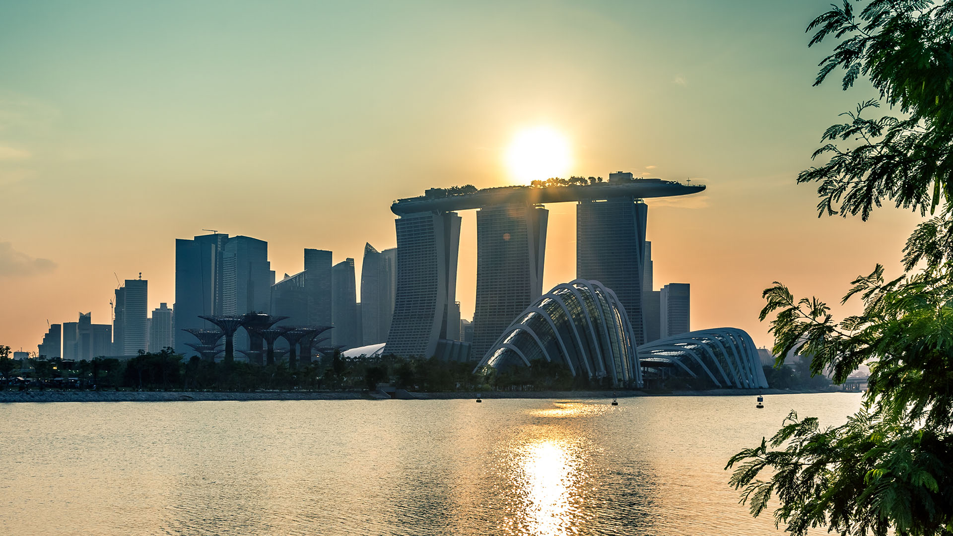 Tips For Adjusting to Singapore’s Tropical Climate Tips For Adjusting to Singapore’s Tropical Climate